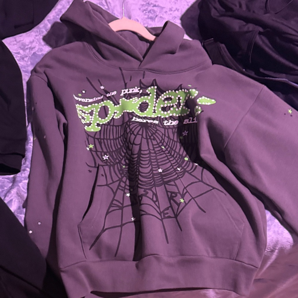 Spider Graphic Gray Hoodie